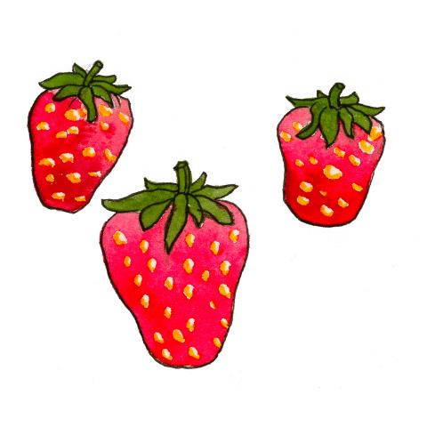 jordgube.jpg